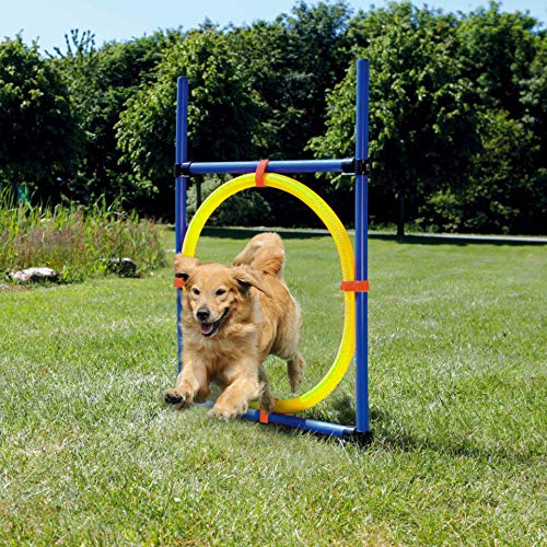 YST Sprungring Hundesport Training Activity Agility - Dog, blau & orange von YST