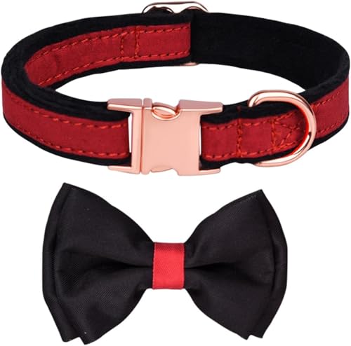Halti Hundehalsband für Hunde, niedliches Hundehalsband mit Fliege, ausgefallenes Hundehalsband mit Sicherheits-Metallschnalle, florales Hundehalsband für kleine, mittelgroße und große Hunde (Rot 2, M Halti Hundehalsband für Hunde, niedliches Hundehalsband mit Fliege, ausgefallenes Hundehalsband mit Sicherheits-Metallschnalle, florales Hundehalsband für kleine, mittelgroße und große Hunde (Rot 2, M von YTBHSHXZ