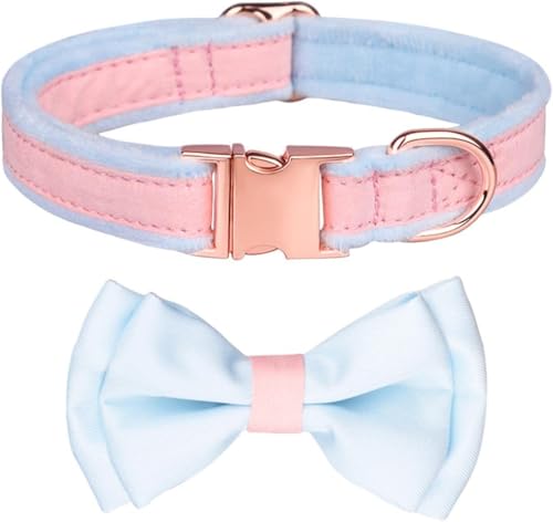 Halti Hundehalsband für Hunde, niedliches Hundehalsband mit Fliege, ausgefallenes Hundehalsband mit Sicherheits-Metallschnalle, florales Hundehalsband für kleine, mittelgroße und große Hunde (Hellblau Halti Hundehalsband für Hunde, niedliches Hundehalsband mit Fliege, ausgefallenes Hundehalsband mit Sicherheits-Metallschnalle, florales Hundehalsband für kleine, mittelgroße und große Hunde (Hellblau von YTBHSHXZ