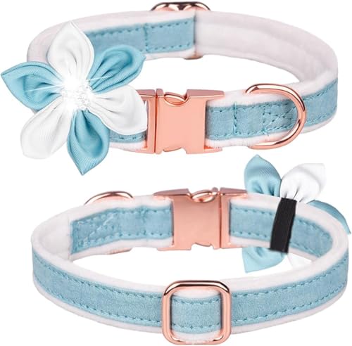 Hardy Hundehalsband mit Schleife für Mädchen, elegantes Halsband mit Metallschnalle und Blumenmuster, für kleine, mittelgroße und große Hunde, Blau, M Hardy Hundehalsband mit Schleife für Mädchen, elegantes Halsband mit Metallschnalle und Blumenmuster, für kleine, mittelgroße und große Hunde, Blau, M von YTBHSHXZ