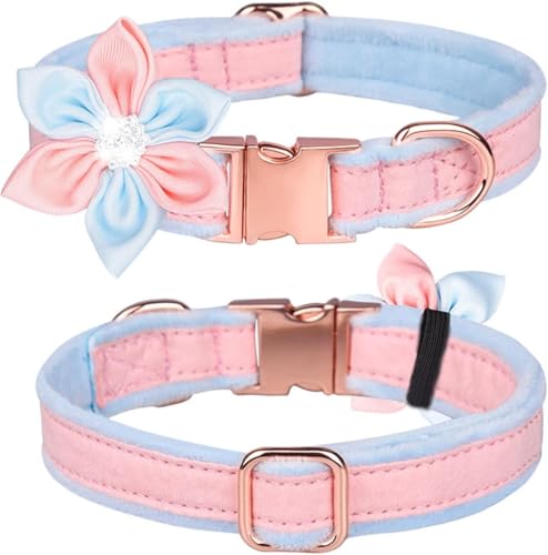 Hardy Hundehalsband mit Schleife für Mädchen, elegantes Halsband mit Metallschnalle und Blumenmuster, für kleine, mittelgroße und große Hunde, Rosa, M Hardy Hundehalsband mit Schleife für Mädchen, elegantes Halsband mit Metallschnalle und Blumenmuster, für kleine, mittelgroße und große Hunde, Rosa, M von YTBHSHXZ