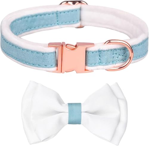Hardy Hundehalsband mit Schleife für Mädchen, elegantes Halsband mit Metallschnalle und Blumenmuster, für kleine, mittelgroße und große Hunde, Weiß, Größe L Hardy Hundehalsband mit Schleife für Mädchen, elegantes Halsband mit Metallschnalle und Blumenmuster, für kleine, mittelgroße und große Hunde, Weiß, Größe L von YTBHSHXZ