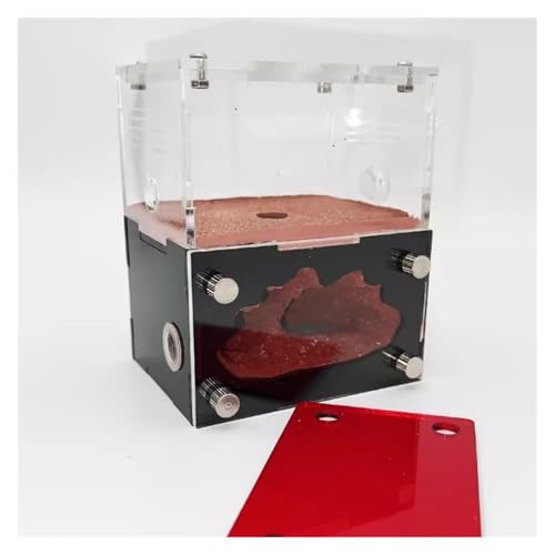 YTBHSHXZ, Ameisenfarm Nest Beton Ameisenfarm Hydratisierender Wasserturm Ameisennest Farm Acryl Ameisenburg für Wissenschaft Bildung Ameisenhaus (Bruin) von YTBHSHXZ