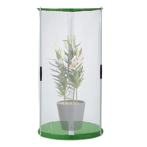 Schmetterlingshabitat - 30 x 40 cm Raupenbehälter Mit Reißverschluss - Klappbarer Pflanzenschutz Für Naturstudien Im Garten Und Freien Schmetterlingshabitat - 30 x 40 cm Raupenbehälter Mit Reißverschluss - Klappbarer Pflanzenschutz Für Naturstudien Im Garten Und Freien von YTGOCN