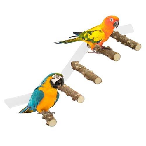 Vogel Sitzstange,Sittich Kletterrampe | Saugnapf-Duschstange für Papageien Wellensittiche Nymphensittiche mit Platzsparendem Vogelkäfig Design von YTGOCN