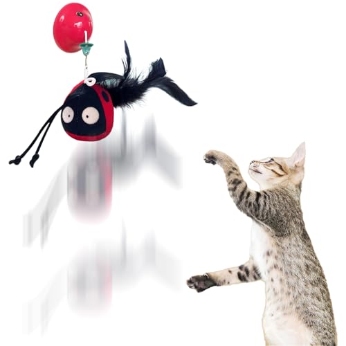 YTGOCN Automatik Katzenspielzeug - Bereicherndes Spielzeug Piepende Plüschkatze | Saugnapf Plüschfigur Für Drinnen Alle Rassen Förderung Bewegung YTGOCN Automatik Katzenspielzeug - Bereicherndes Spielzeug Piepende Plüschkatze | Saugnapf Plüschfigur Für Drinnen Alle Rassen Förderung Bewegung von YTGOCN