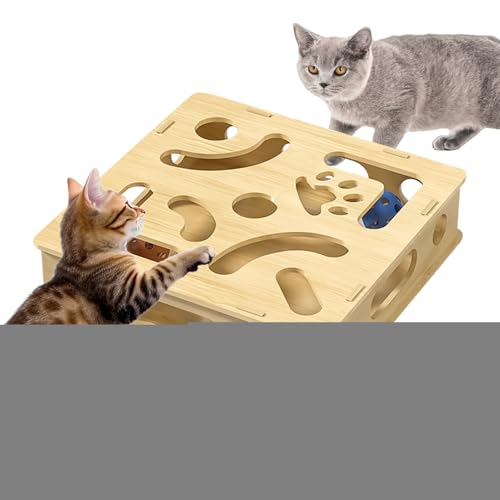 YTGOCN Katzen Spielzeug, Förderndes Katzen-Labyrinthspielzeug, Interaktives Spielzeug Mit Glockenreiz Zur Langeweilebekämpfung Und Geistigen Förderung Für Zuhause Und Innenbereich von YTGOCN