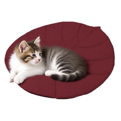 YTGOCN wasserdichte Hundematte | Blattform Kühldecke Für Katzen | Haustierzubehör Doppelseitige Isolierende Katzenunterlage Für Camping Auto Reise Wohnzimmer Schlafzimmer YTGOCN wasserdichte Hundematte | Blattform Kühldecke Für Katzen | Haustierzubehör Doppelseitige Isolierende Katzenunterlage Für Camping Auto Reise Wohnzimmer Schlafzimmer von YTGOCN