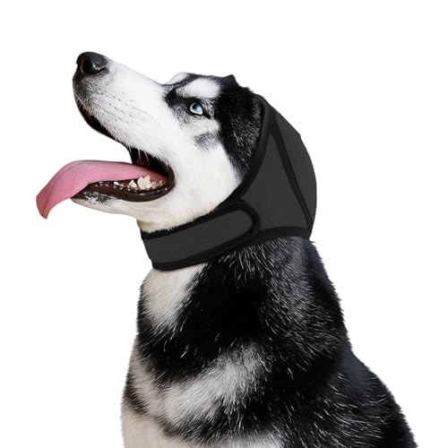 Hunde-Gehörschutz, Verstellbarer Hundeschutz für Lärmschutz, wasserdichte Hundeohrenschützer zum Schwimmen und zur Angstlinderung, bequeme Ohrabdeckung für Hunde mit empfindlichen Ohren, Schwarz Hunde-Gehörschutz, Verstellbarer Hundeschutz für Lärmschutz, wasserdichte Hundeohrenschützer zum Schwimmen und zur Angstlinderung, bequeme Ohrabdeckung für Hunde mit empfindlichen Ohren, Schwarz von YTPAFK