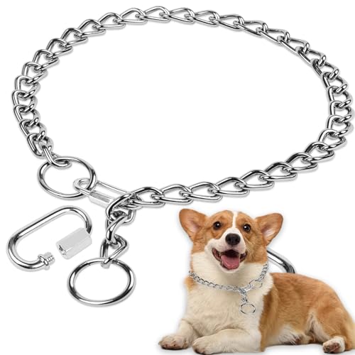 Kettenhalsband Hund, 65 cm Edelstahl Hundehalskette mit Sicherer Schnalle Verstellbare Hundehalsband Kette Halsband für Hund Spazieren Gehen Kettenhalsband Hund, 65 cm Edelstahl Hundehalskette mit Sicherer Schnalle Verstellbare Hundehalsband Kette Halsband für Hund Spazieren Gehen von YTSMFL
