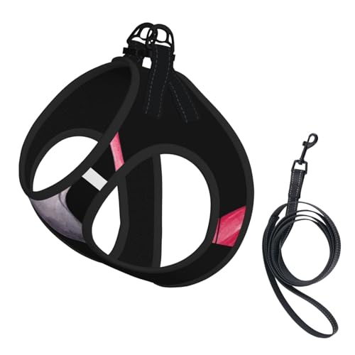 Hello Glasses Sommer-Geschirr mit Flamingo-Druck, reflektierend, Hundezubehör für kleine, mittelgroße und große Hunde und Katzen Hello Glasses Sommer-Geschirr mit Flamingo-Druck, reflektierend, Hundezubehör für kleine, mittelgroße und große Hunde und Katzen von YUBVCF