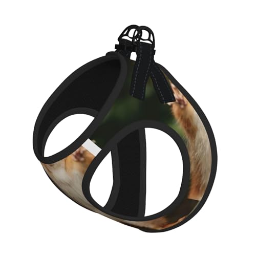 Lustiges Eichhörnchen-Welpengeschirr mit reflektierendem Tierdruck, Hundezubehör für kleine, mittelgroße und große Hunde und Katzen von YUBVCF