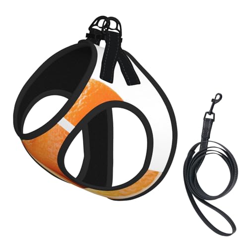Welpengeschirr mit reflektierendem Aufdruck, Hundezubehör für kleine, mittelgroße und große Hunde und Katzen, Orange Welpengeschirr mit reflektierendem Aufdruck, Hundezubehör für kleine, mittelgroße und große Hunde und Katzen, Orange von YUBVCF