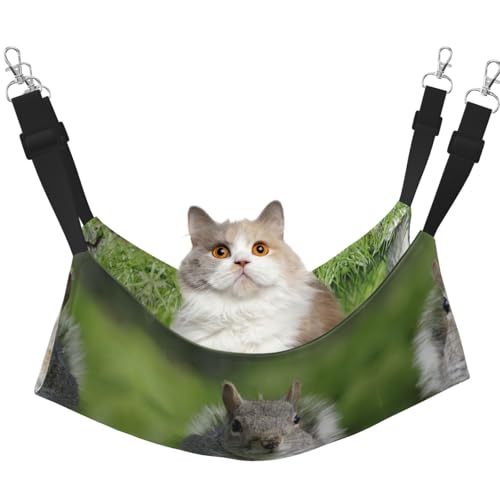 YUBVCF Eichhörnchen 1 weiches Haustierbett, passend für Frettchen, Kätzchen, Welpen, kleine Hunde, verstellbarer Gurt YUBVCF Eichhörnchen 1 weiches Haustierbett, passend für Frettchen, Kätzchen, Welpen, kleine Hunde, verstellbarer Gurt von YUBVCF