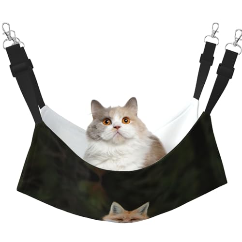 YUBVCF Funny Fox weiches Haustierbett, passend für Frettchen, Kätzchen, Welpen, kleine Hunde, verstellbarer Gurt YUBVCF Funny Fox weiches Haustierbett, passend für Frettchen, Kätzchen, Welpen, kleine Hunde, verstellbarer Gurt von YUBVCF