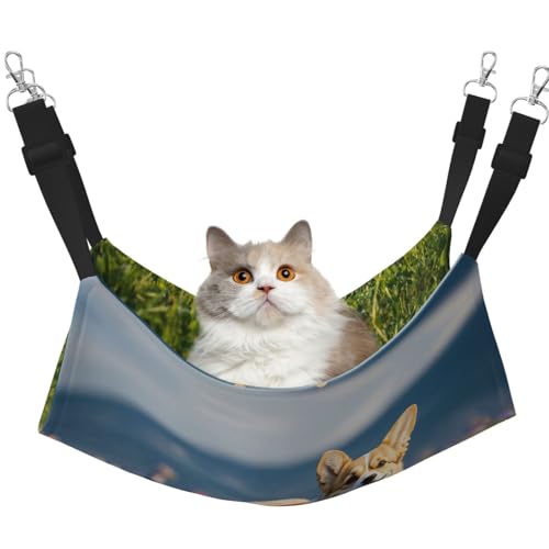 YUBVCF Weiches Corgi-Haustierbett für Frettchen, Kätzchen, Welpen, kleine Hunde, verstellbarer Gurt YUBVCF Weiches Corgi-Haustierbett für Frettchen, Kätzchen, Welpen, kleine Hunde, verstellbarer Gurt von YUBVCF