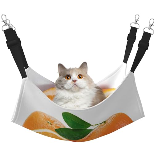 YUBVCF Weiches Haustierbett für Frettchen, Kätzchen, Welpen, kleine Hunde, verstellbarer Gurt, Orange YUBVCF Weiches Haustierbett für Frettchen, Kätzchen, Welpen, kleine Hunde, verstellbarer Gurt, Orange von YUBVCF
