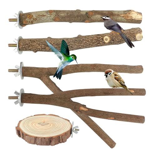Natur Sitzstangen Set, 5 Stück Naturholz Vogel Sitzstangen Vogelständer Vogelkäfig Zubehör Vogelzubehör Vogelspielplatz für Vögel Wellensittich Nymphensittich Kanarienvogel von YUDAWN