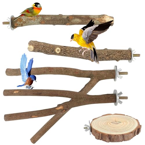 Vogelsitzstangen, 5 Stück, natürliches Holz, mehrere Äste, Sitzstange, Plattform, Vogelkäfig-Ständer für Papageien, Vogelkäfig-Zubehör von YUDAWN