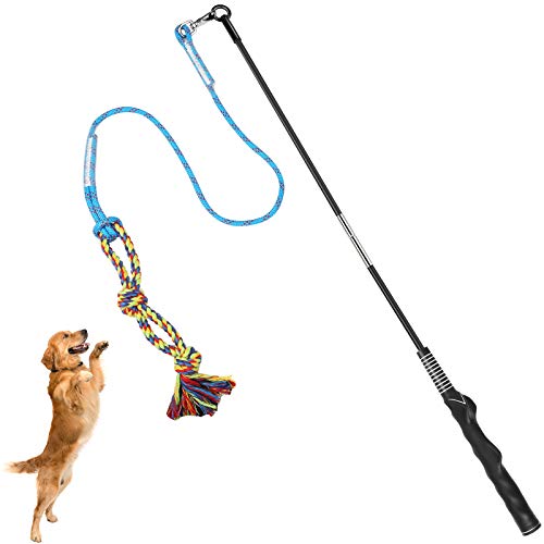 Dog Flirt Pole Toy, Interactive Teaser Wand for Dogs Tug of War and Outdoor Exercise, Tether Lure Toy with Chewing Cotton Rope to Chasing and Training for Small Dogs von YUDICP