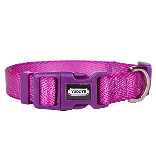YUDOTE Halsband aus Nylon, verstellbar, für kleine Hunde, für den täglichen Gebrauch, Violett von YUDOTE