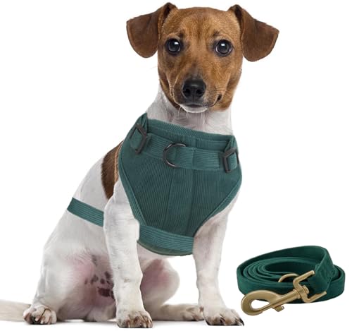 YUDOTE Hundegeschirr und Leine, weicher Cord und Netzstoff, gepolstert, mit 1,5 m langer Leine, für kleine Hunde mit empfindlicher Haut, Grün von YUDOTE