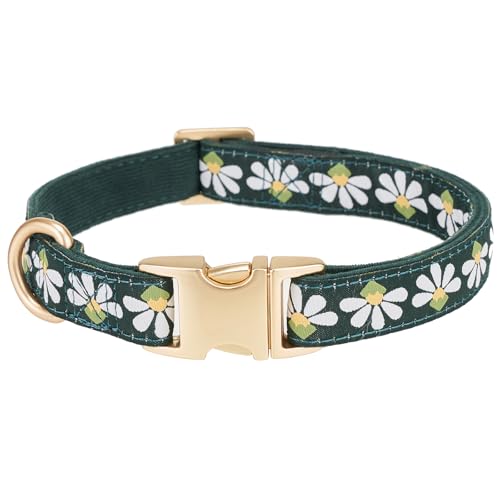 YUDOTE Hundehalsband aus weichem Cord mit Jacquard-Band, Hochwertig Gemustert Blumenmuster für große Hunde den täglichen Gebrauch, Grün YUDOTE Hundehalsband aus weichem Cord mit Jacquard-Band, Hochwertig Gemustert Blumenmuster für große Hunde den täglichen Gebrauch, Grün von YUDOTE