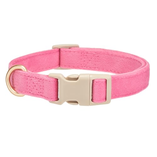 YUDOTE Hundehalsband aus weichem Cord mit Kunststoffclip, bequem und verstellbar, für kleine Hunde, den täglichen Gebrauch, Fuchsia YUDOTE Hundehalsband aus weichem Cord mit Kunststoffclip, bequem und verstellbar, für kleine Hunde, den täglichen Gebrauch, Fuchsia von YUDOTE