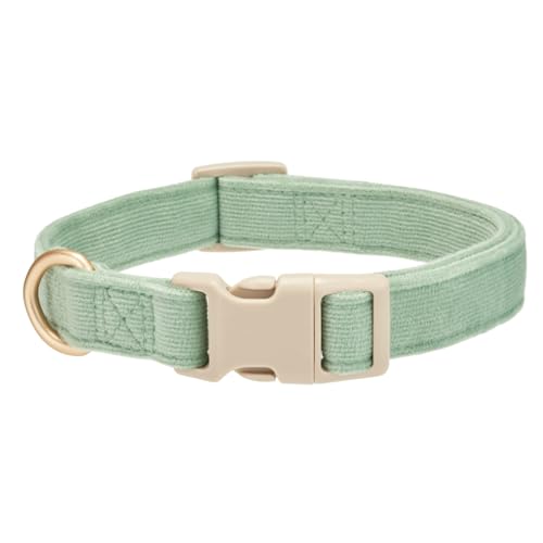 YUDOTE Hundehalsband aus weichem Cord mit Kunststoffclip, bequem und verstellbar, für kleine Hunde, den täglichen Gebrauch, Hellgrün YUDOTE Hundehalsband aus weichem Cord mit Kunststoffclip, bequem und verstellbar, für kleine Hunde, den täglichen Gebrauch, Hellgrün von YUDOTE
