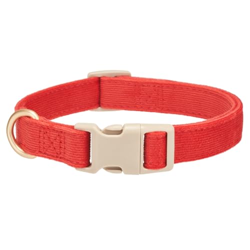 YUDOTE Hundehalsband aus weichem Cord mit Kunststoffclip, bequem und verstellbar, für kleine Hunde, den täglichen Gebrauch, in feurigem Rot YUDOTE Hundehalsband aus weichem Cord mit Kunststoffclip, bequem und verstellbar, für kleine Hunde, den täglichen Gebrauch, in feurigem Rot von YUDOTE