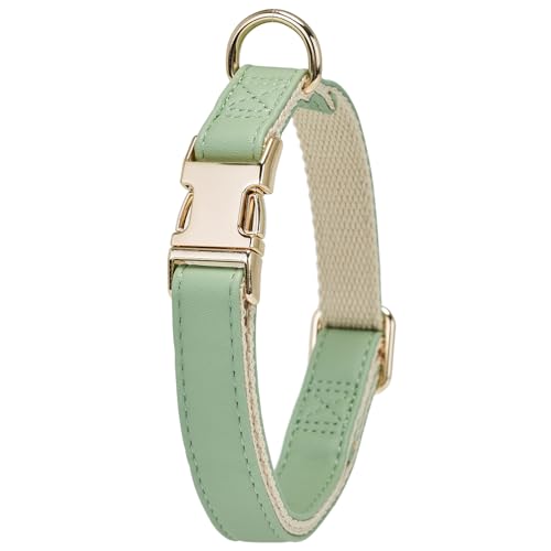 YUDOTE Hundehalsband aus weichem Leder mit Sicherheits-Schnellverschluss-Metallschnalle, natürliche Baumwolle, gepolstertes Kunstlederhalsband für mittelgroße Hunde mit empfindlicher Haut, Salbeigrün von YUDOTE