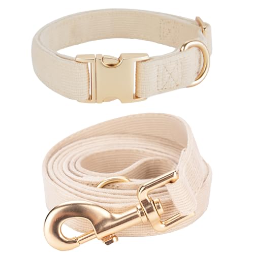 YUDOTE Hundehalsband und Leine Set Groß, Weiche Reizfreie Cord-Halsband-Leine Passende Combo für Den Täglichen Spaziergang, Cremeweiß YUDOTE Hundehalsband und Leine Set Groß, Weiche Reizfreie Cord-Halsband-Leine Passende Combo für Den Täglichen Spaziergang, Cremeweiß von YUDOTE