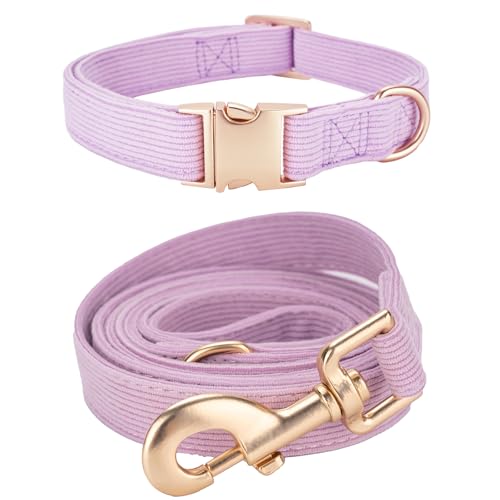 YUDOTE Hundehalsband und Leine Set Groß, Weiche Reizfreie Cord-Halsband-Leine Passende Combo für Den Täglichen Spaziergang, Lila YUDOTE Hundehalsband und Leine Set Groß, Weiche Reizfreie Cord-Halsband-Leine Passende Combo für Den Täglichen Spaziergang, Lila von YUDOTE