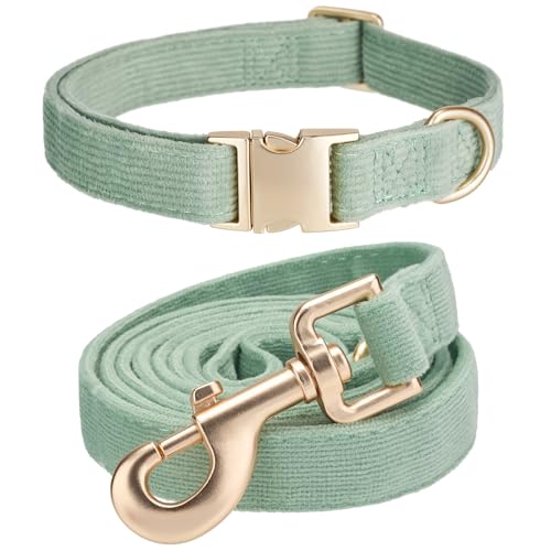 YUDOTE Hundehalsband und Leine Set Groß, Weiche Reizfreie Cord-Halsband-Leine Passende Combo für Den Täglichen Spaziergang, Salbeigrün YUDOTE Hundehalsband und Leine Set Groß, Weiche Reizfreie Cord-Halsband-Leine Passende Combo für Den Täglichen Spaziergang, Salbeigrün von YUDOTE