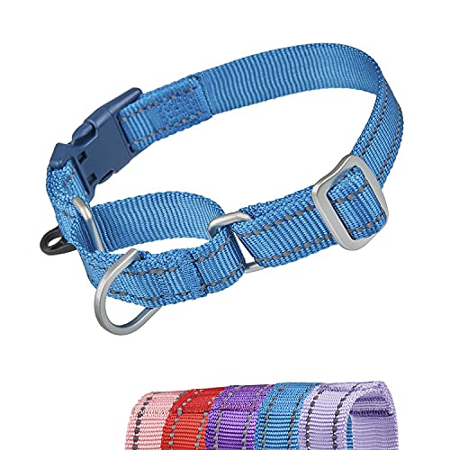 YUDOTE Reflektierende Martingale Hundehalsbänder,ausbruchsicheres Anti-Zug-Trainingshalsband mit Sicherheits-Schnellverschluss für schmale Kopfhunde erleichtern das Gehen,Groß,Blau von YUDOTE