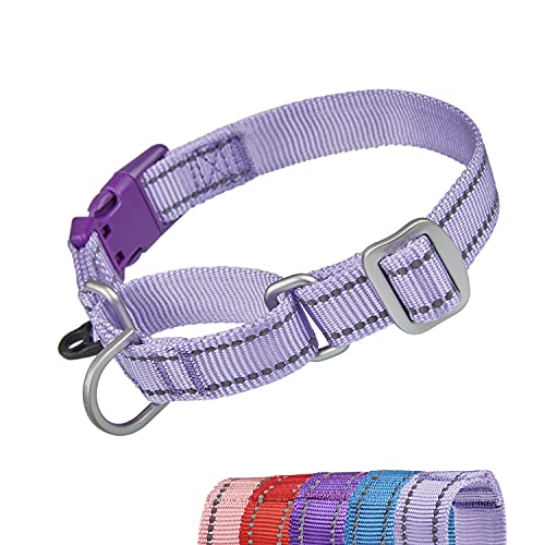 YUDOTE Reflektierende Martingale Hundehalsbänder,ausbruchsicheres Anti-Zug-Trainingshalsband mit Sicherheits-Schnellverschluss für schmale Kopfhunde erleichtern das Gehen,Groß,Lavendel von YUDOTE