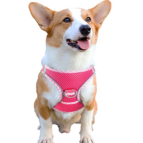 YUDOTE Reflektierendes Hundegeschirr, leicht anzuziehen, 2-lagig, weiches Netzgewebe mit ID-Tag-Halter für mittelgroße Hunde, den täglichen Gebrauch, Hot Pink von YUDOTE