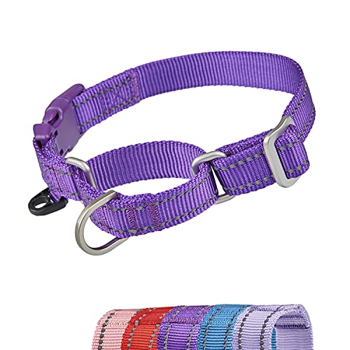 YUDOTE Reflektierende Martingale Hundehalsbänder,ausbruchsicheres Anti-Zug-Trainingshalsband mit Sicherheits-Schnellverschluss für schmale Kopfhunde erleichtern das Gehen,Mittel,Violett von YUDOTE