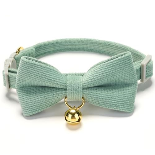 YUDOTE Ultra-weiches Halsband aus Natürlichem Baumwollcord für Katzen mit Empfindlicher Haut, Leichtes Kätzchenhalsband mit Schnellverschluss und Abnehmbarer Schleife, SalbeiGrün 1er Pack YUDOTE Ultra-weiches Halsband aus Natürlichem Baumwollcord für Katzen mit Empfindlicher Haut, Leichtes Kätzchenhalsband mit Schnellverschluss und Abnehmbarer Schleife, SalbeiGrün 1er Pack von YUDOTE