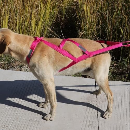 YUEHAN Hundegeschirr Hundeschlittengeschirr Haustiergewicht Zuggeschirr Mushing X Rückengeschirr Für Große Hunde Training Arbeitsübung Skijöring Scootering von YUEHAN
