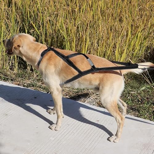 YUEHAN Hundegeschirr Hundeschlittengeschirr Haustiergewicht Zuggeschirr Mushing X Rückengeschirr Für Große Hunde Training Arbeitsübung Skijöring Scootering von YUEHAN