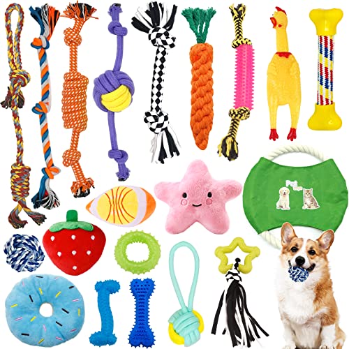 20 Stück Hundespielzeug, Kauseil, interaktives Hundespielzeug, Seil mit Ball, interaktives Hundespielzeug aus Baumwolle, sicher und ungiftig, kann die Zähne von Hunden für Welpen klein/mittel/groß 20 Stück Hundespielzeug, Kauseil, interaktives Hundespielzeug, Seil mit Ball, interaktives Hundespielzeug aus Baumwolle, sicher und ungiftig, kann die Zähne von Hunden für Welpen klein/mittel/groß von SUPTMAX