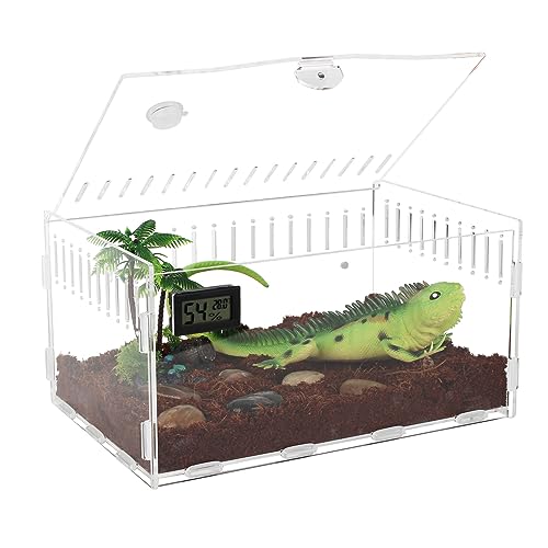 Acryl Terrarium Reptile Fütterungsbox Transparent Transport Box für Schnecken Spinnen Gecko Hamster Schlangen Schildkröten Terrarium Tragbarer Reptilien Insect Feeding(30 x 20 x 15cm) von YUEHUA