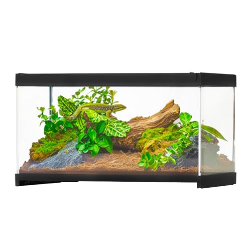 Terrarium-Käfig für Reptilien, Glas, Amphibien, Lebensraum, Käfig für Frosch, Spinnen, Beterthanten, Cricket, Vogelspinne, Einsiedlerkrebse, 30 x 20 x 17 cm Terrarium-Käfig für Reptilien, Glas, Amphibien, Lebensraum, Käfig für Frosch, Spinnen, Beterthanten, Cricket, Vogelspinne, Einsiedlerkrebse, 30 x 20 x 17 cm von YUEHUA