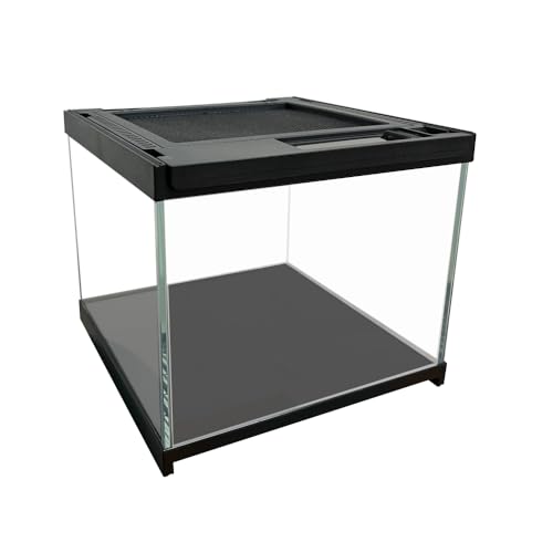 Terrarium Reptile Fütterungsbox 20 x 20 x 17cm Glasterrarium für Reptilien und Pflanzen mit Belüftungsdecke Terrarium Reptile Fütterungsbox 20 x 20 x 17cm Glasterrarium für Reptilien und Pflanzen mit Belüftungsdecke von YUEHUA