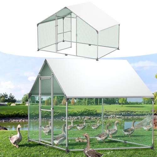 YUENFONG 3x2x2m Freilaufgehege, Hühnerstall Verzinkter Stahl mit Schloss, Freigehege Hühnerhaus Kleintierstall Geflügelstall inkl. Schutzdach, für Haustierkäfig Vogelkäfig Hühnerkäfig YUENFONG 3x2x2m Freilaufgehege, Hühnerstall Verzinkter Stahl mit Schloss, Freigehege Hühnerhaus Kleintierstall Geflügelstall inkl. Schutzdach, für Haustierkäfig Vogelkäfig Hühnerkäfig von YUENFONG