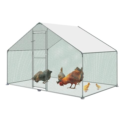 YUENFONG 3x2x2m Hühnerstall Freilaufgehege, L Kleintierstall mit PE Dach Sonnenschutz Geflügelstall, Hühnerkäfig mit Schloss Haustierkäfig für Hühner Haustiere Kaninchen YUENFONG 3x2x2m Hühnerstall Freilaufgehege, L Kleintierstall mit PE Dach Sonnenschutz Geflügelstall, Hühnerkäfig mit Schloss Haustierkäfig für Hühner Haustiere Kaninchen von YUENFONG