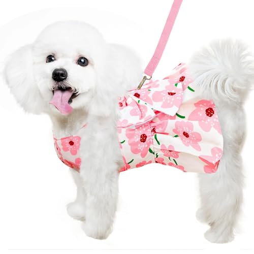 Hundekleid für weibliche Kleine Hunde,Hund Kleider Geschirr und Leine,Dog Kleid für kleine Hunde,Sommerkleid für small Haustiere,Mädchen-Hundekleid für Kleine,Mittelgroße Haustiere (M) von YUEXNKO