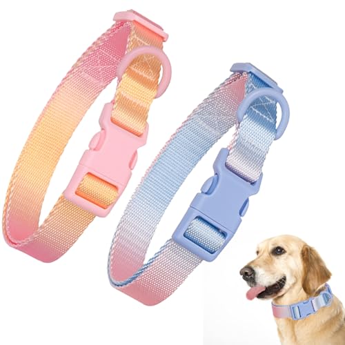 Hundehalsbänder mit Schnellverschluss, verstellbare Hundehalsbänder für kleine Hunde, Katzen, Haustiere, Zubehör, Nylon-Halsband für kleine, mittelgroße und große Hunde (Rosa, Blau und Rosa, Gelb, M von YUEYINGMG