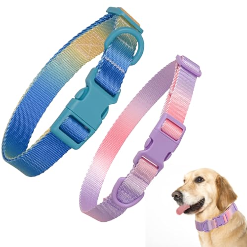 Hundehalsbänder mit Schnellverschluss, verstellbare Hundehalsbänder für kleine Hunde, Katzen, Haustiere, Zubehör, Nylon-Halsband für kleine, mittelgroße und große Hunde (lila, rosa und blau, gelb, S von YUEYINGMG
